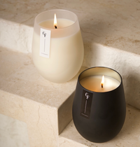 Collective Fragrances Black