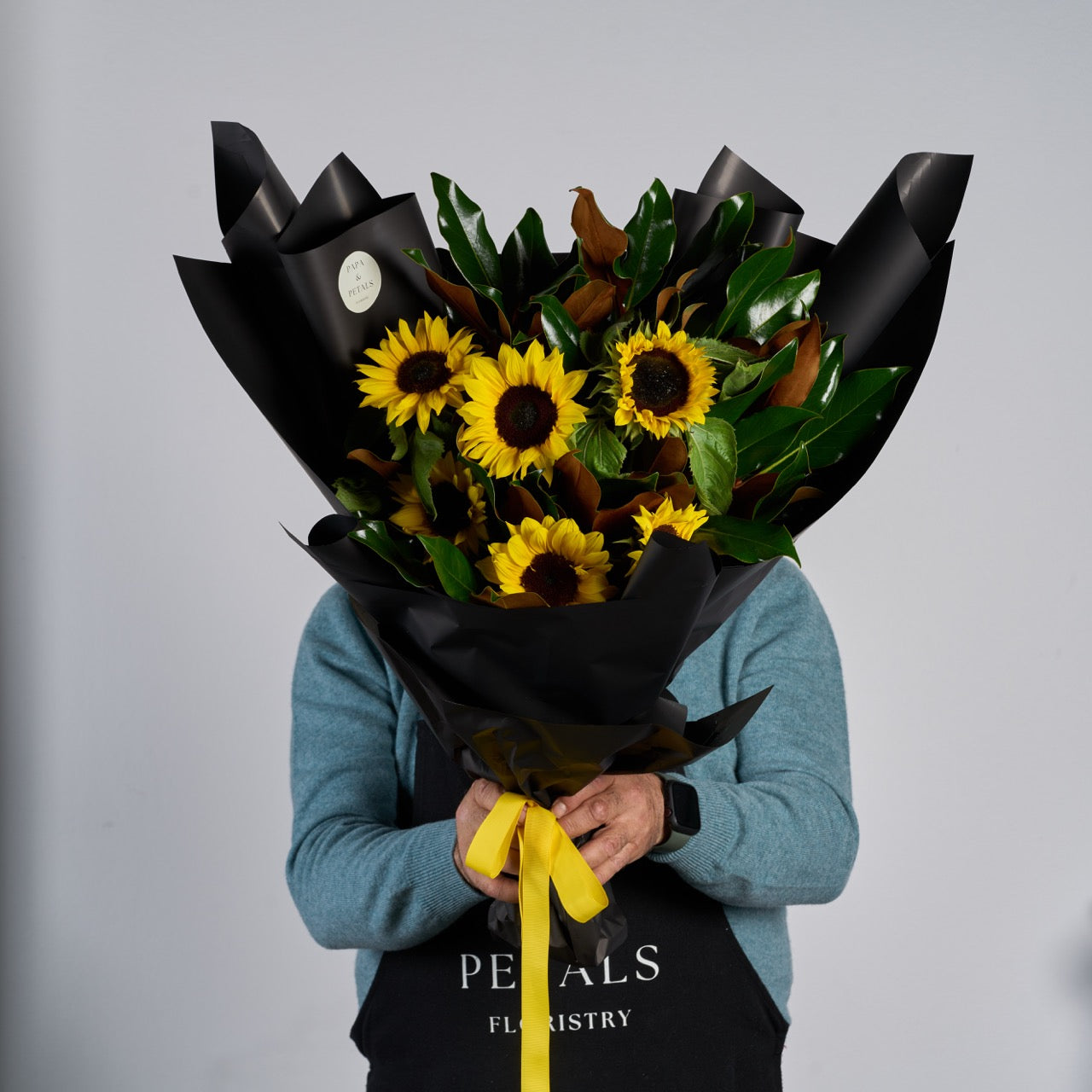 Sunflower glow