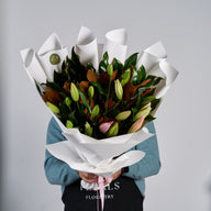 Lily Lovers