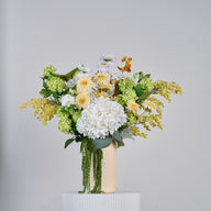 Cream Elegance