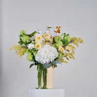 Cream Elegance