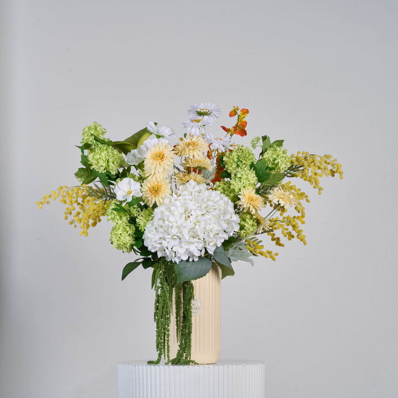 Cream Elegance